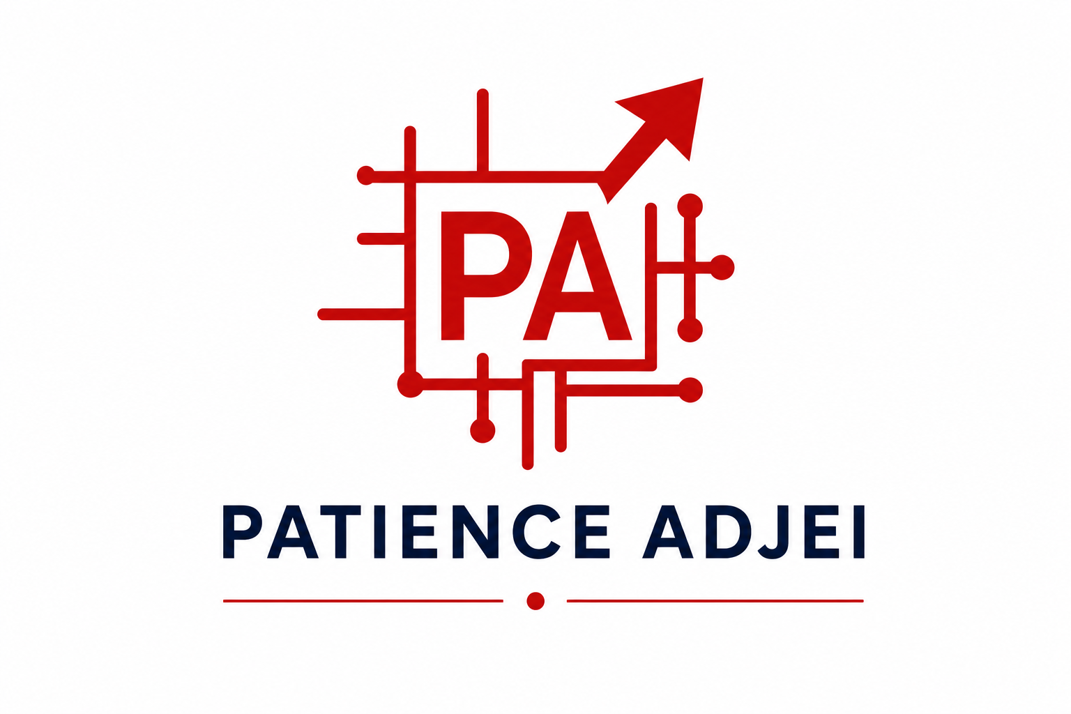 Finance & Data Analytics Professional